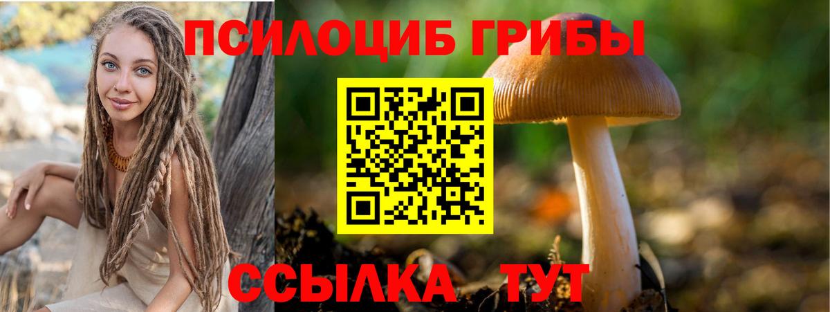 Хабаровск  Псилоцибиновые грибы мухоморы  наркошоп  Вход с VPN 